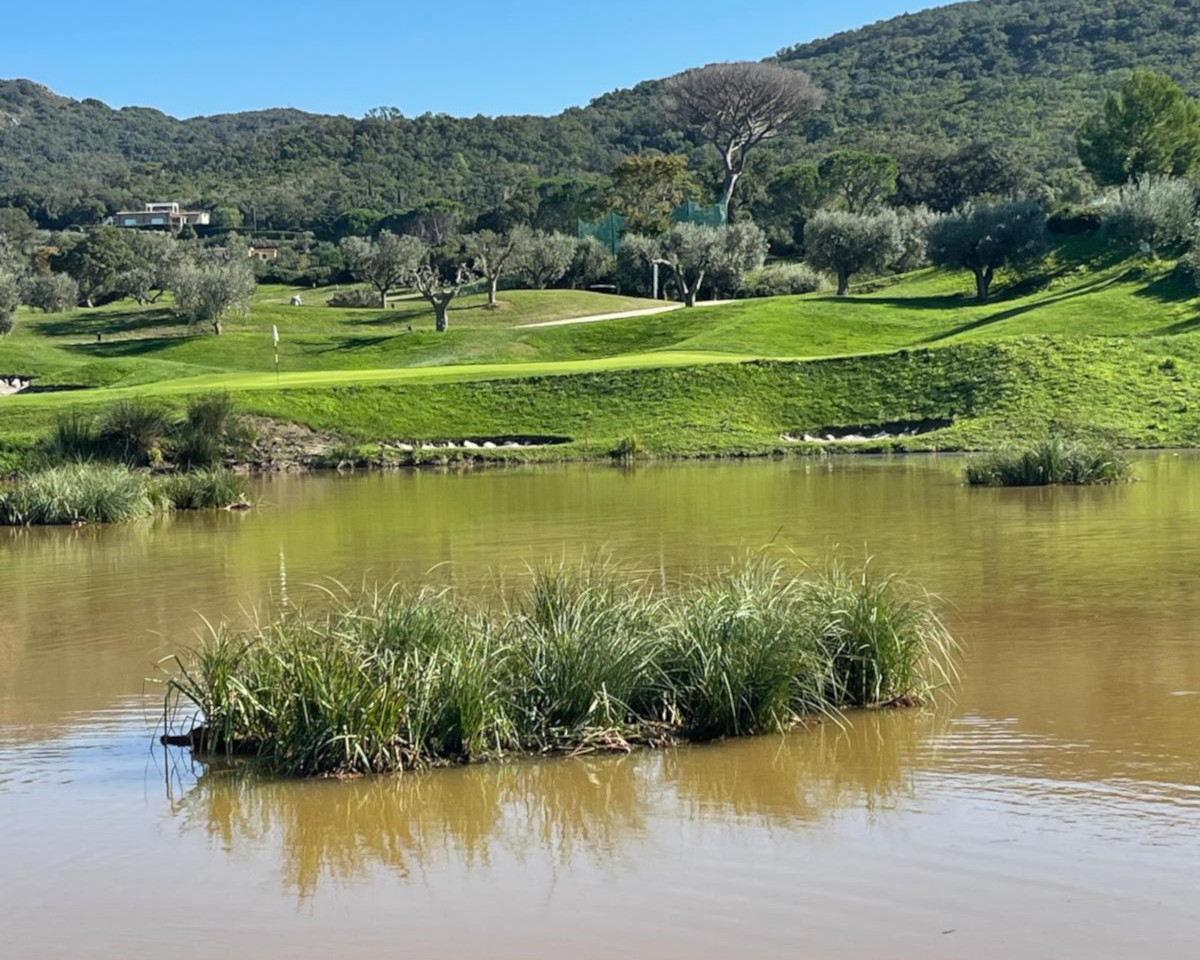 island for birds to nest on the golf course